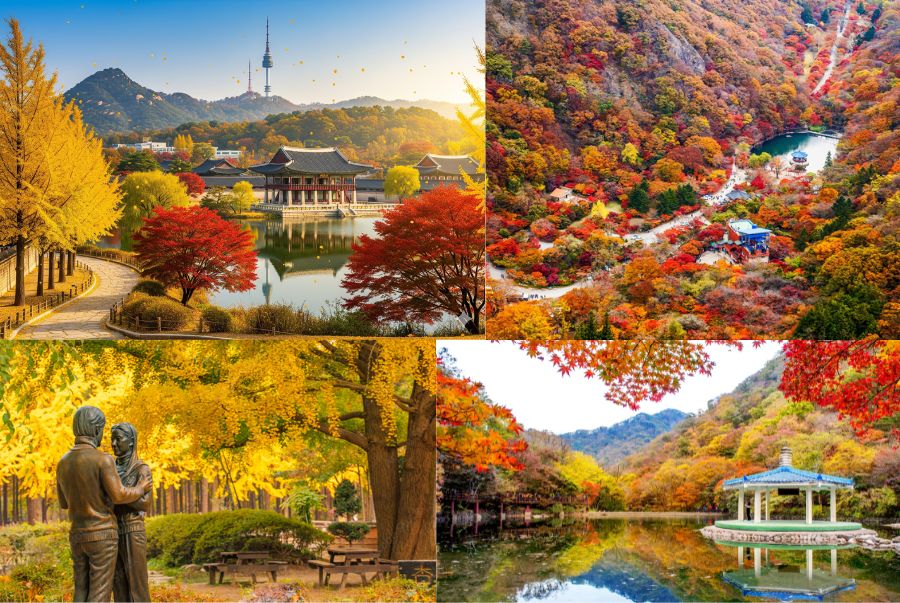 Mùa thu Hàn Quốc rực rỡ với những gam màu đỏ, vàng, cam đan xen như tranh vẽ