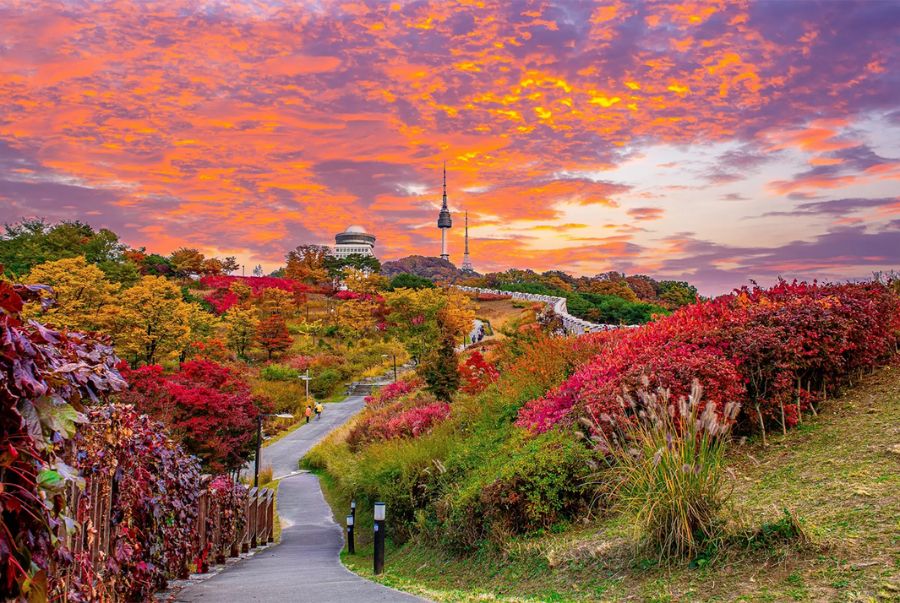 Khung cảnh yên bình mà du khách nào cũng muốn được trải nghiệm một lần