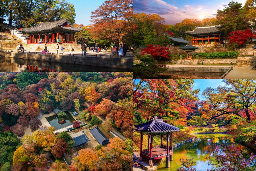 Changdeokgung đem đến sự hài hòa giữa kiến trúc hoàng gia và thiên nhiên tuyệt mỹ