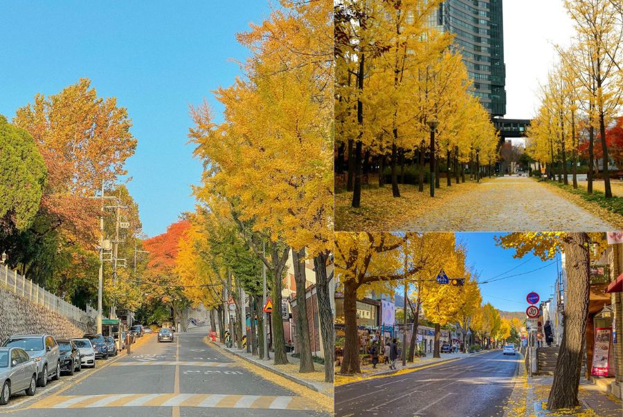  Samcheong-dong mùa thu quyến rũ du khách bằng vẻ đẹp cổ kính, tinh tế và đầy chất thơ