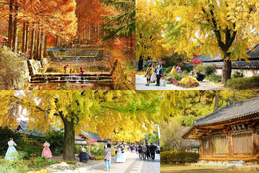 Làng Jeonju Hanok mang dáng dấp của một học giả cổ kính, trầm lặng giữa miền quê yên bình