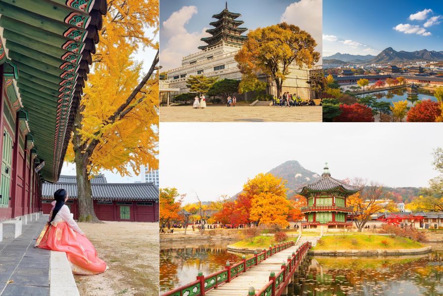 Gyeongbokgung được mệnh danh là biểu tượng văn hóa, lịch sử của Hàn Quốc