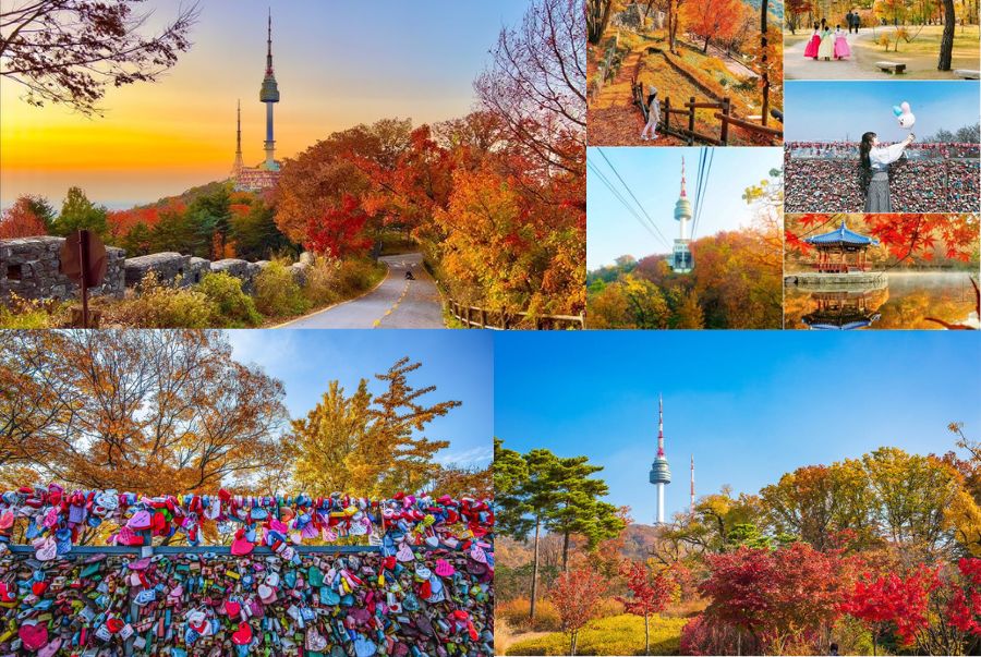 Toàn cảnh Công viên Namsan rực rỡ trong sắc thu
