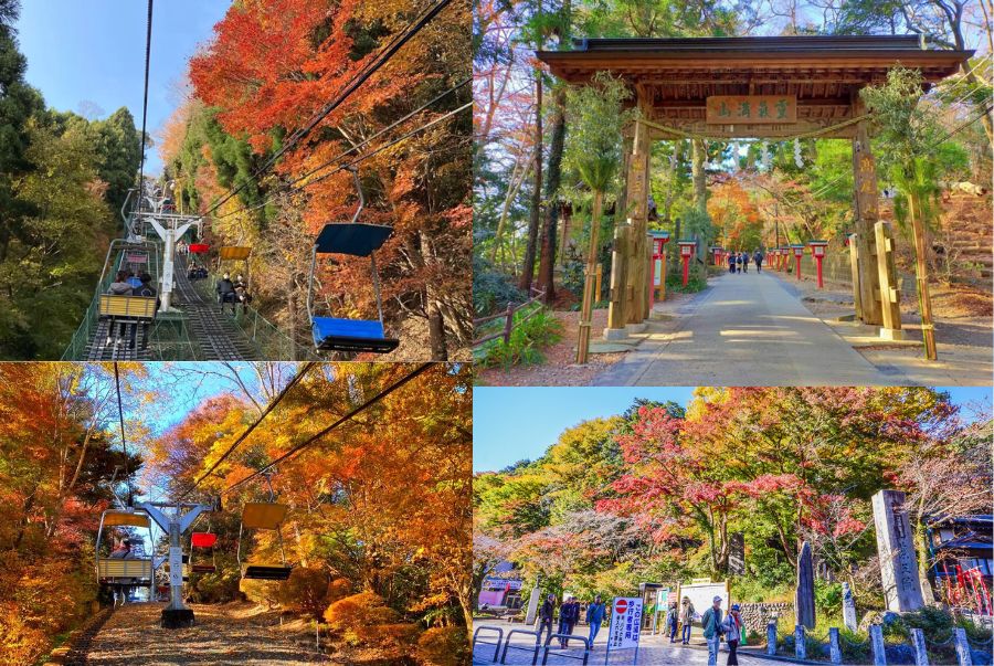 Núi Takao là điểm đến lý tưởng để du khách kết hợp ngắm lá đỏ và leo núi nhẹ