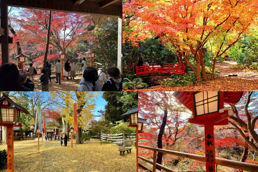 Thung lũng Todoroki là một trong những không gian xanh quý giá và hoang sơ hiếm hoi tại Tokyo