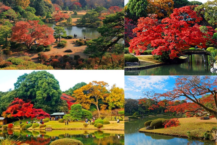 Rikugien là một trong những khu vườn kiểu Nhật truyền thống đẹp nhất tại Tokyo