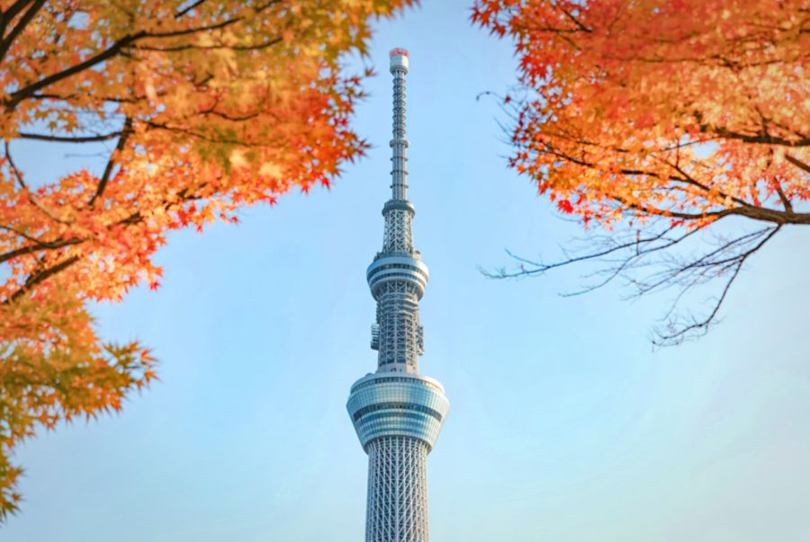 Đứng từ đỉnh tòa tháp, du khách có thể nhìn bao quát toàn cảnh thành phố rực rỡ trong sắc thu