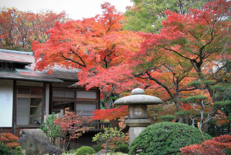 Vườn Koishikawa Korakue sở hữu phong cách "vườn du ngoạn" với cảm hứng đến từ văn hóa Trung Hoa