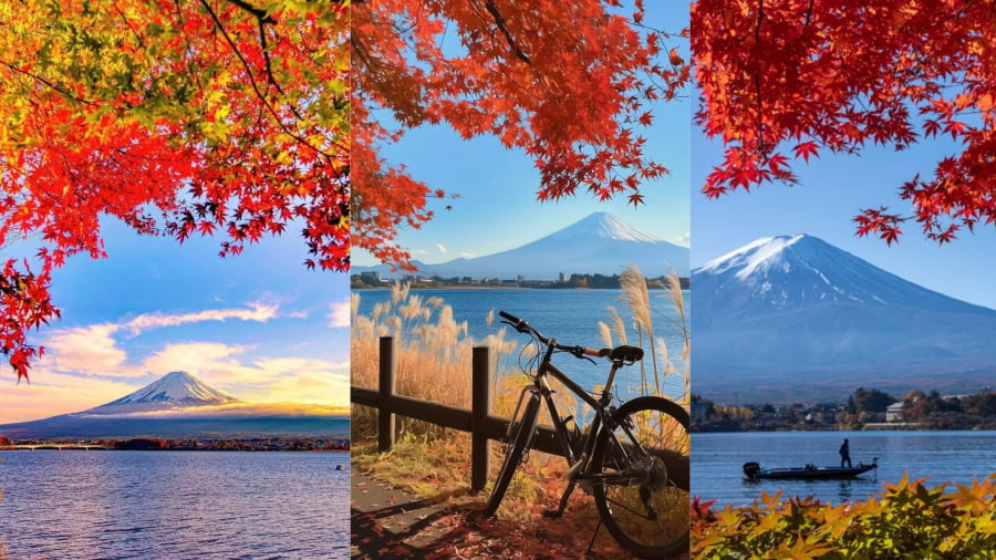 Kawaguchiko và Phú Sĩ - Biểu tượng lá đỏ Nhật Bản