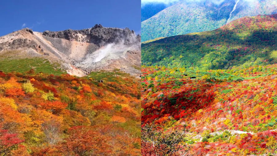 Cao nguyên Nasu - Cung đường lá đỏ trên mây