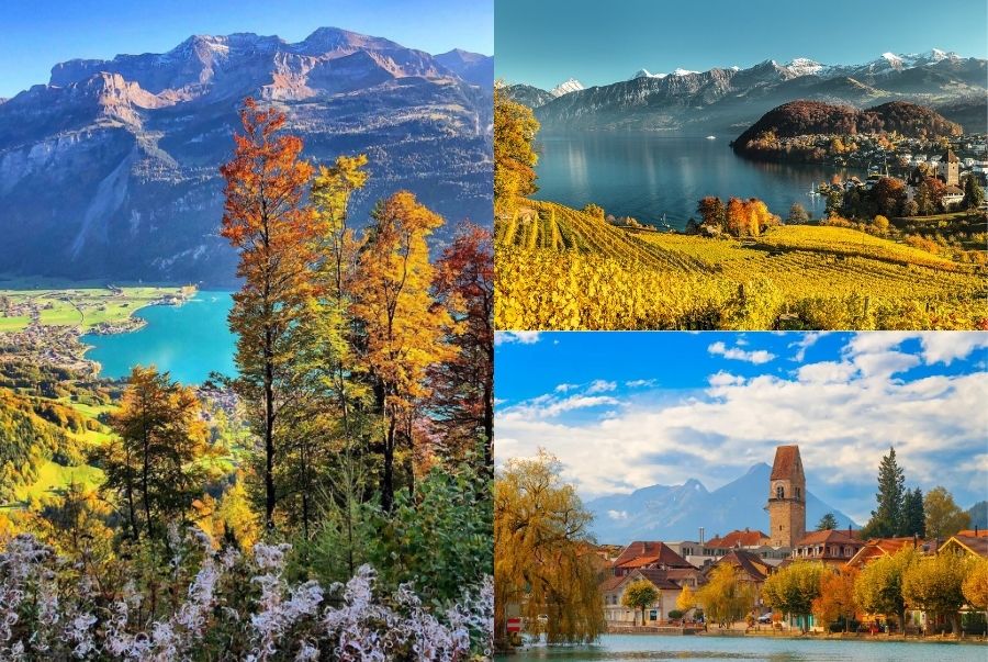 Interlaken mùa thu rực rỡ với sắc lá vàng soi bóng dưới mặt hồ xanh biếc