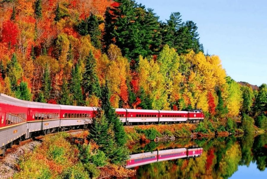 Trải nghiệm tuyệt vời nhất là ngồi trên các chuyến tàu để chiêm ngưỡng vẻ đẹp mùa thu Thụy Sĩ