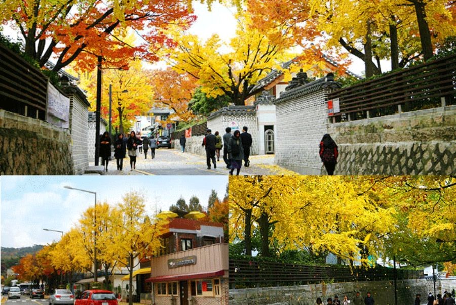 Dạo bước dưới cung đường Nakseongdae để cảm nhận rõ hơn mùa thu Seoul lãng mạn