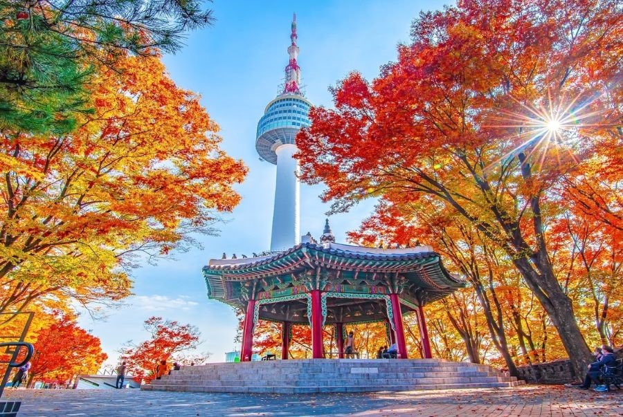 Biểu tượng tình yêu N Seoul Tower rực rỡ trong khung cảnh lá đỏ mùa thu