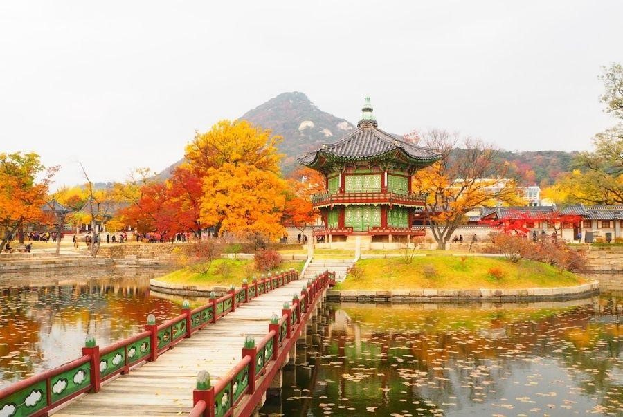 Cung điện Gyeongbokgung rực rỡ sắc vàng giữa trời mùa thu