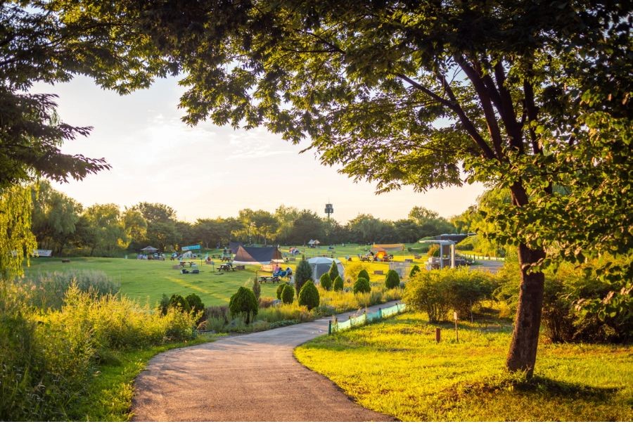 Ngắm hoàng hôn rực rỡ và những thảm cỏ bát ngát tại World Cup Park Seoul