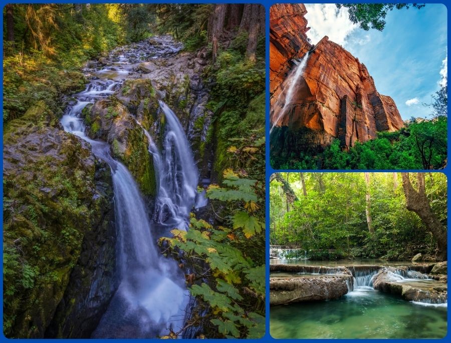 Vườn quốc gia Olympic là một trong những điểm dừng chân lý tưởng dành cho những ai muốn tìm về với thiên nhiên trong lành