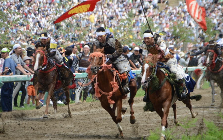 Soma Nomaoi được công nhận là Di sản văn hóa dân gian phi vật thể quan trọng của quốc gia