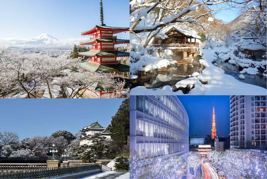 Các địa điểm du lịch nổi tiếng tại Tokyo đươhc phủ lên một màu áo trắng tinh khiết