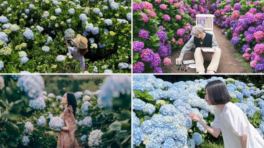 Lựa chọn trang phục phù hợp sẽ giúp bạn có được thật nhiều bức ảnh sống ảo vô cùng xịn sò