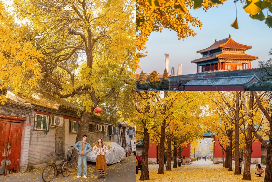 Mùa thu là thời điểm thành phố chuyển mình rực rỡ nhất trong năm