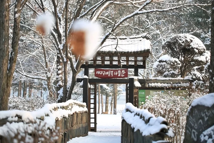 Đảo Nami là điểm đến hàng đầu của Hàn Quốc mỗi khi vào mùa đông