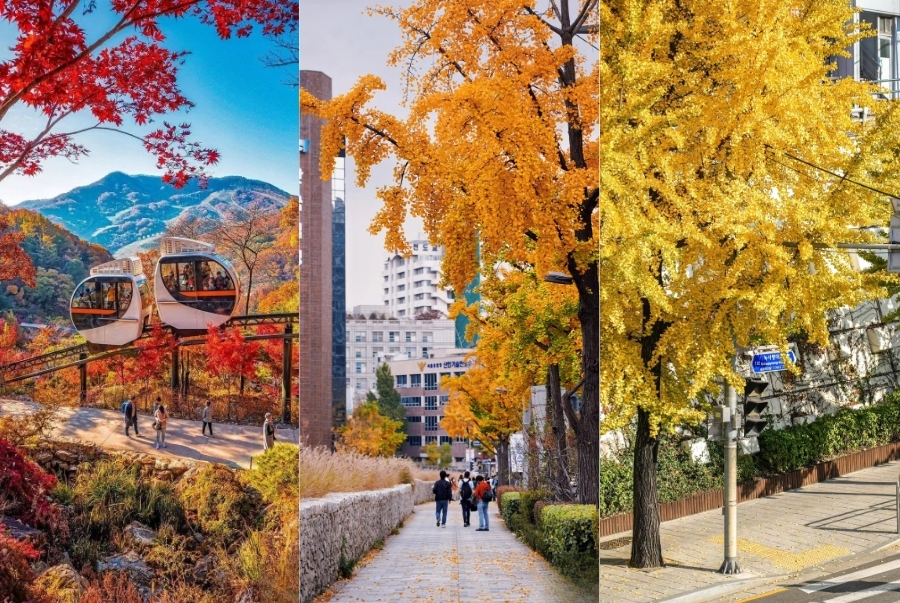 Mùa thu Hàn Quốc được rất nhiều du khách săn đón nên bạn đừng quên đặt tour sớm nhé