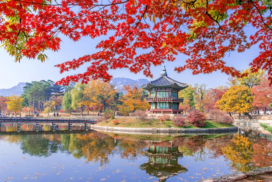 Mùa thu Hàn Quốc rực rỡ nhất vào giữa tháng 10 đến đầu tháng 11