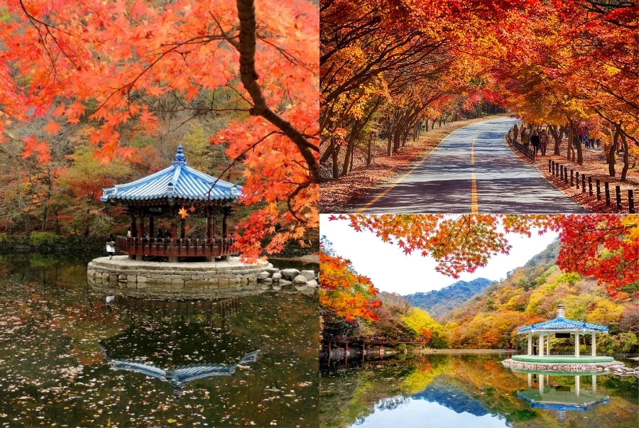 Vẻ đẹp nên thơ của Naejangsan mỗi khi thu về