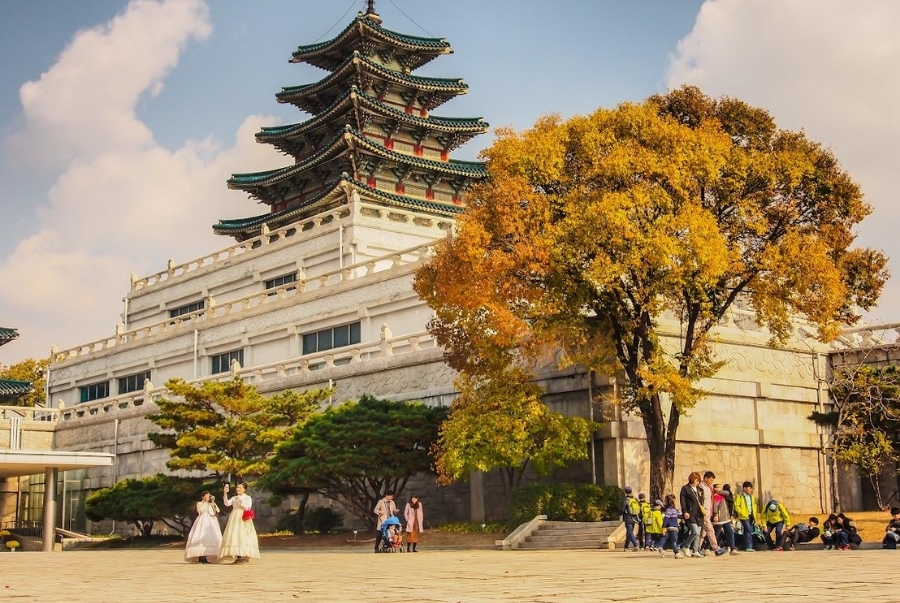 Cung điện cổ kính Gyeongbokgung rực rỡ trong sắc lá vàng thu hút nhiều du khách ghé thăm