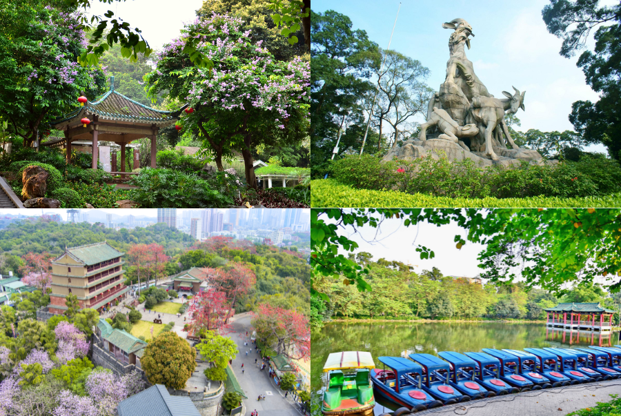 Công viên Việt Tú được xem là lá phổi xanh lớn nhất ngay trung tâm Quảng Châu