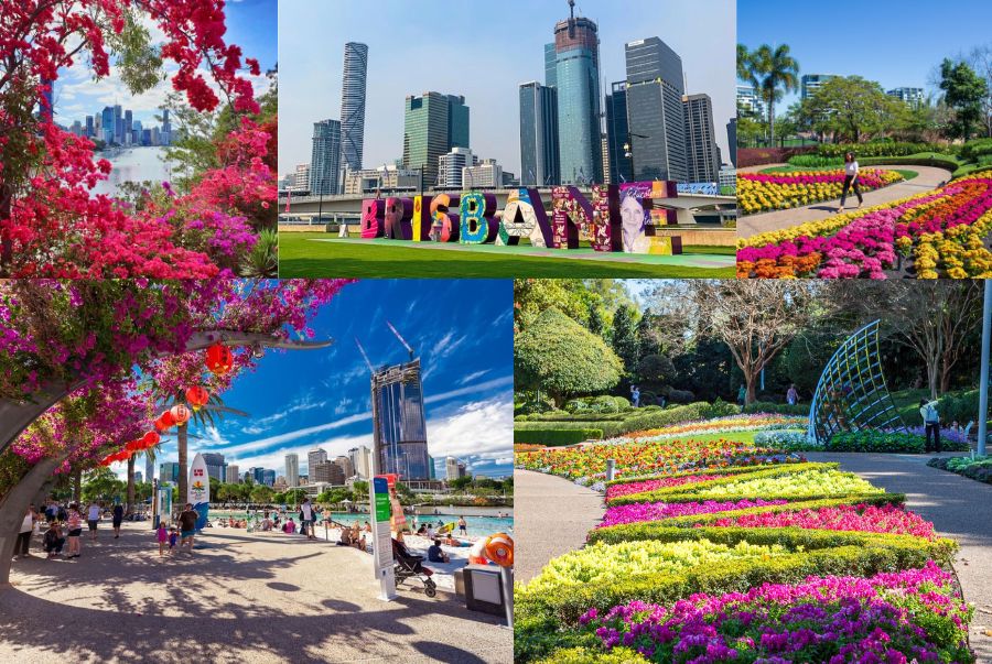 Brisbane vào xuân như bừng tỉnh với không khí trong lành, tiết trời dịu nhẹ và hoa cỏ nở rộ khắp các công viên