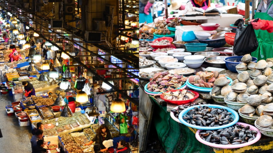 Chợ cá Jagalchi - Khám phá thiên đường hải sản tươi sống và nền ẩm thực độc đáo