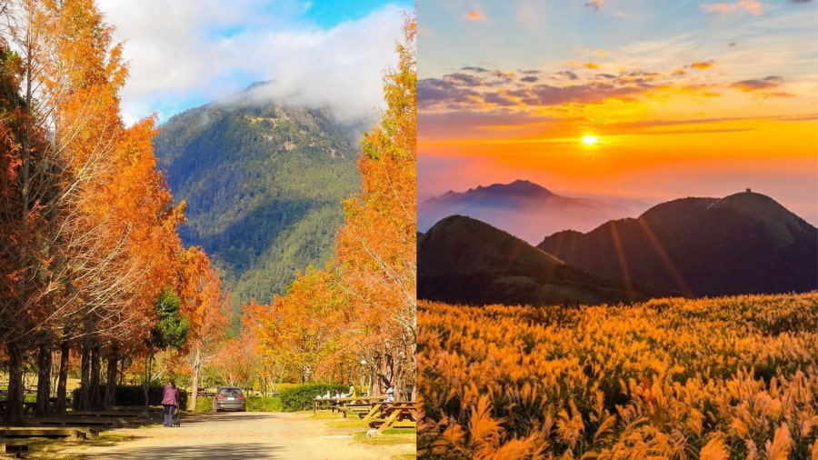 Vườn Quốc gia Yangmingshan là điểm đến lý tưởng cho những ai muốn ngắm cảnh mùa thu mà không phải di chuyển quá xa