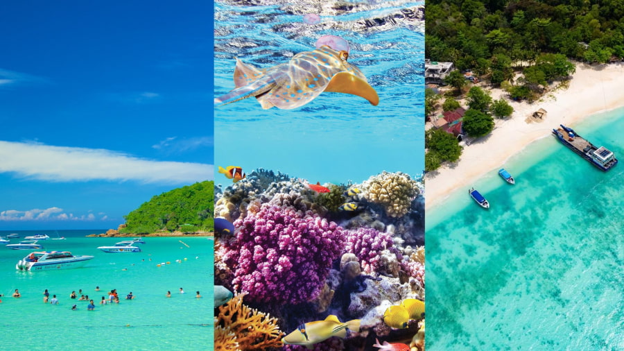 Đảo Coral sở hữu nhiều bãi biển với những nét đặc trưng riêng, đáp ứng mọi sở thích của du khách