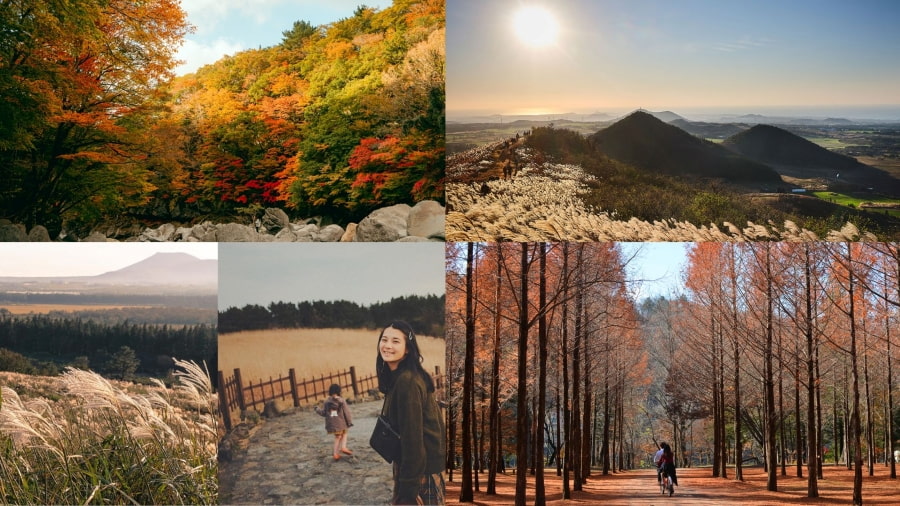 Mùa thu là thời điểm tuyệt vời để chiêm ngưỡng sự chuyển mình của thiên nhiên, tạo nên một bức tranh phong cảnh vô cùng ấn tượng