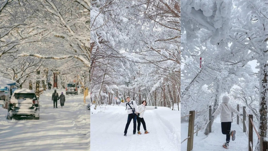 Mùa đông khoác lên đảo Jeju một vẻ đẹp huyền ảo và tĩnh lặng, khác hẳn với sự sôi động của những mùa khác