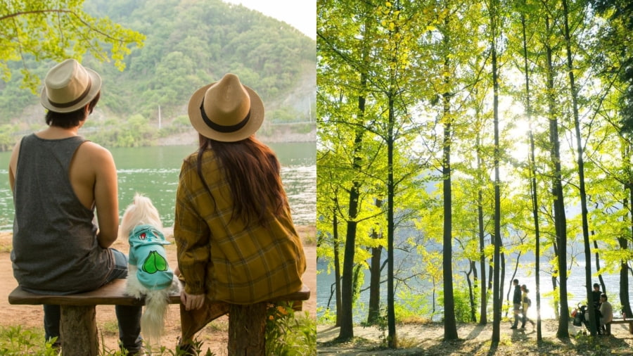 Mùa hè là lúc đảo Nami khoác lên mình tấm áo xanh tươi, rực rỡ nhất