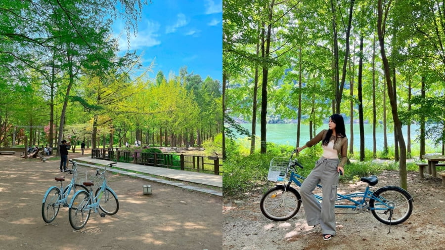 Đạp xe chầm chậm dọc theo những con đường uốn lượn là một trải nghiệm thú vị tại Nami mùa hè