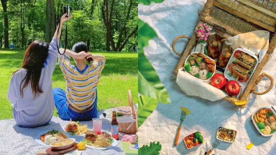 Du lịch đảo Nami mùa hè là thời điểm hoàn hảo cho một buổi picnic giữa thiên nhiên