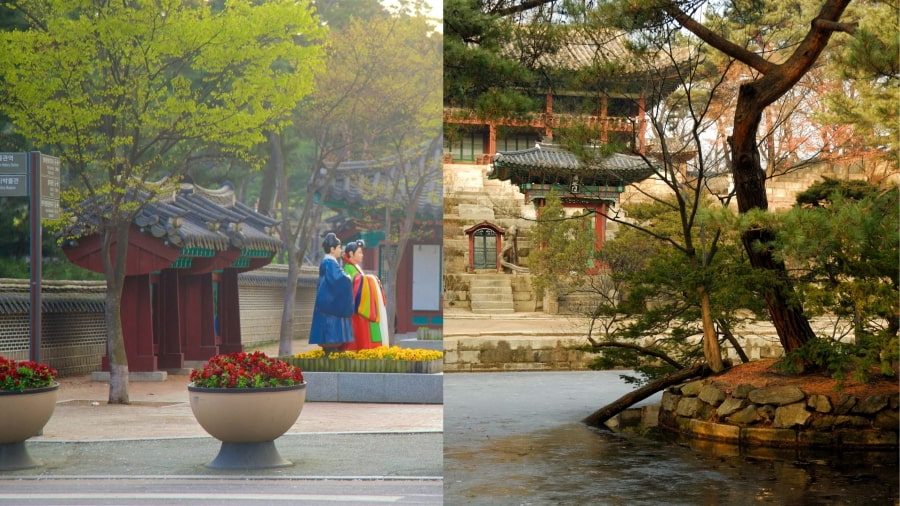 Công viên Wolmido là một ốc đảo xanh mát, mang đến không gian yên bình và thư thái