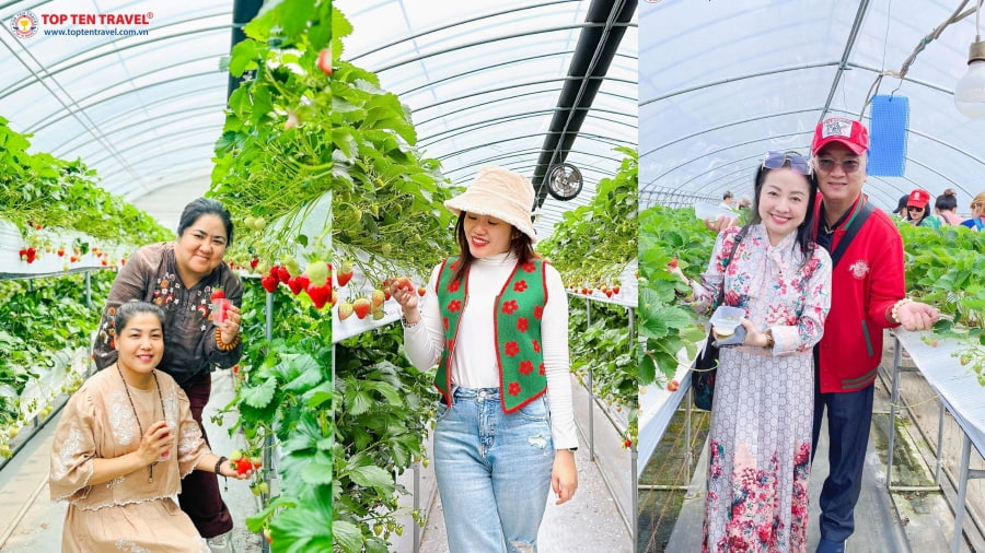 Hàn Quốc mùa hè là thiên đường của các loại trái cây tươi ngon và đa dạng