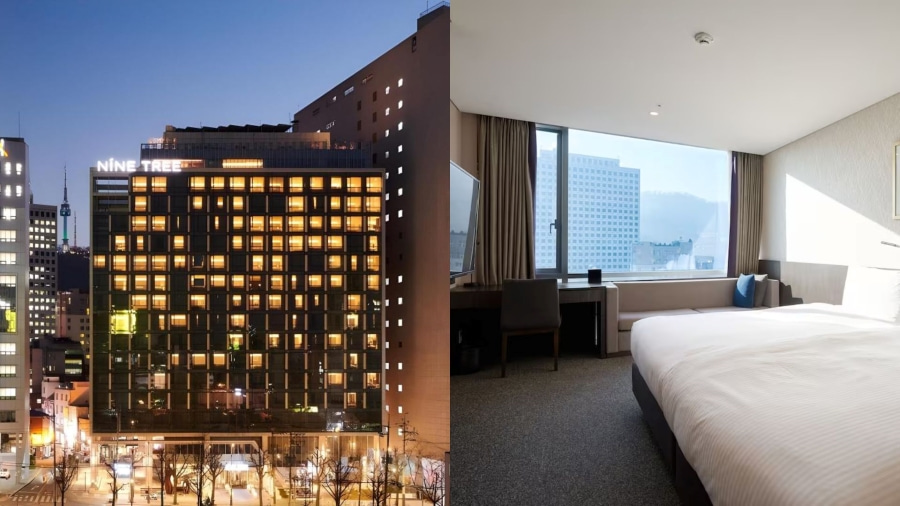 Nine Tree Hotel Myeongdong luôn là cái tên được du khách ưu ái lựa chọn khi đi du lịch Hàn Quốc