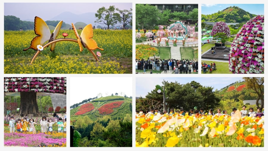 Lễ hội bướm Hampyeong (Hampyeong Butterfly Festival - 함평나비대축제)