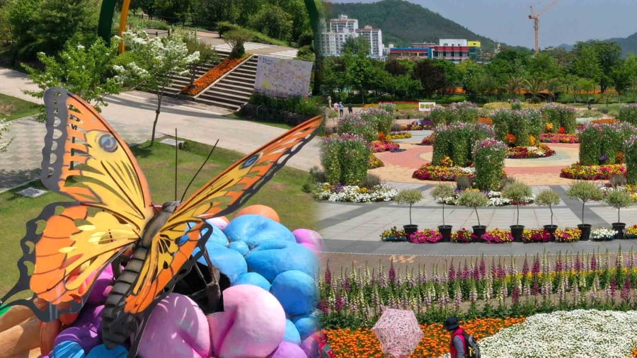 Lễ hội Bướm Hampyeong là một sự kiện thường niên độc đáo và thân thiện với môi trường