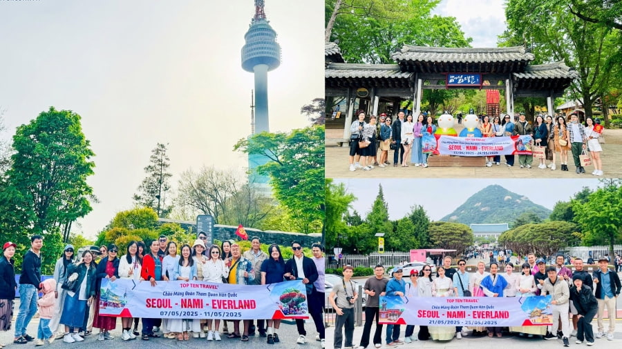 Các vị khách đã tin tưởng và lựa chọn những tour du lịch Hàn Quốc tại nhà Top Ten Travel