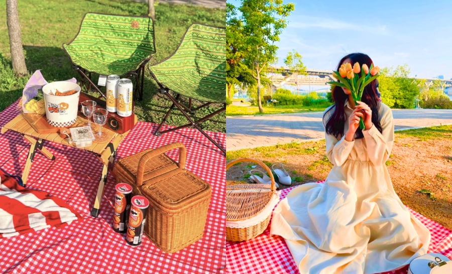 Cắm trại và picnic tại công viên ven sông Hàn là một trải nghiệm thú vị và độc đáo khi đi du lịch Hàn Quốc