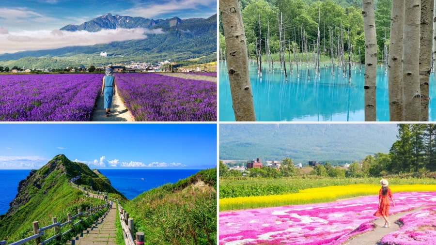 Hokkaido – Thiên đường hoa oải hương và không khí mát mẻ