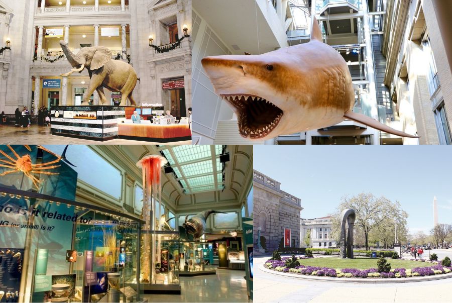 Những điểm nhấn ấn tượng của hệ thống bảo tàng Smithsonian