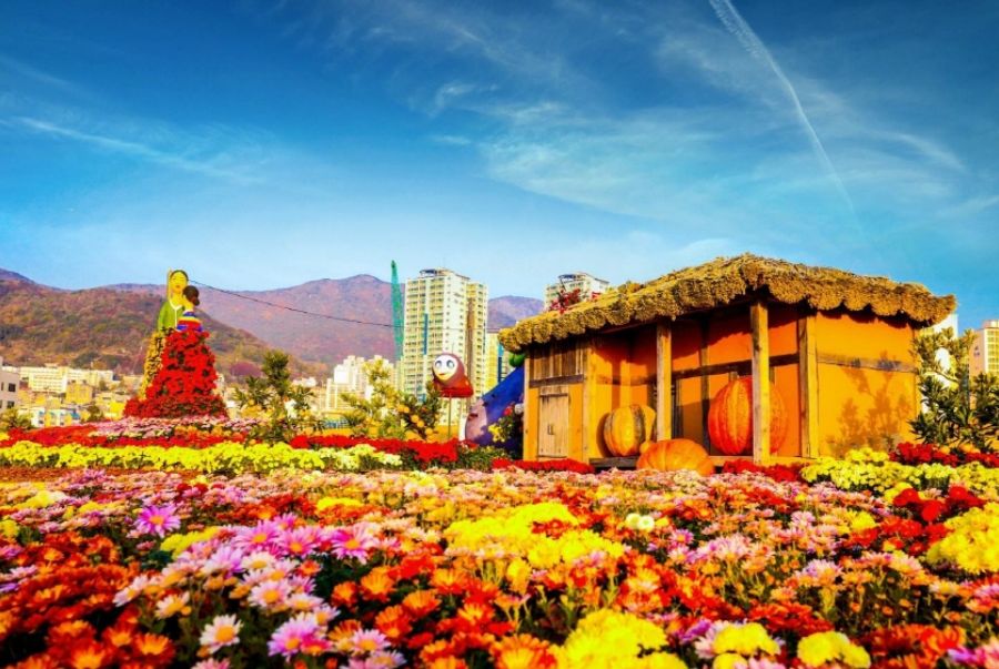 Không gian nghệ thuật mùa thu tràn ngập sắc hoa cúc